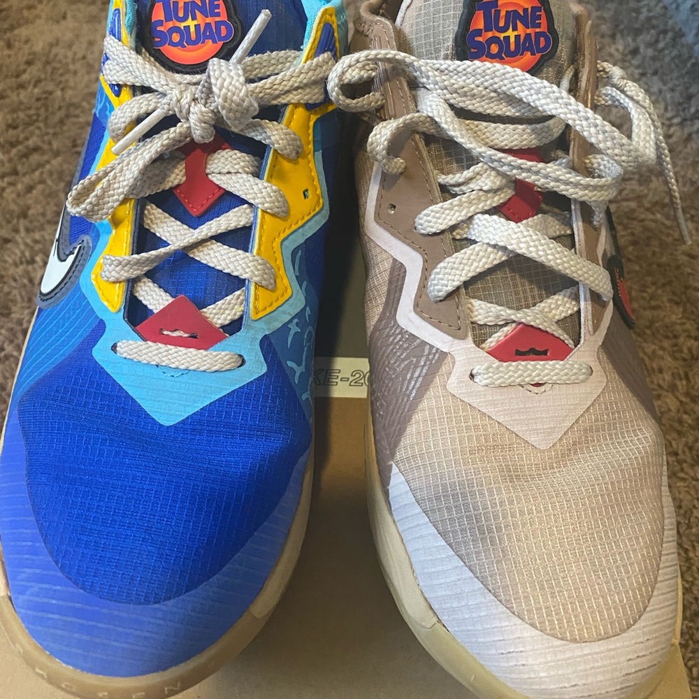 Lebron xviii low